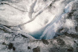 Yanina Isla